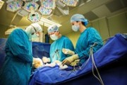 Государственную награду вручили кубанскому врачу