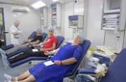 Субботу донора провели в  Северском районе