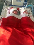 Новогодний репортаж Новогодний репортаж