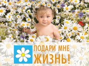 На Кубани начинается неделя против абортов На Кубани начинается неделя против абортов