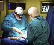 Кубанские врачи восстановили мужчине руку со сквозной раной от ожога Кубанские врачи восстановили мужчине руку со сквозной раной от ожога