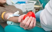 Выездные Дни донора продолжаются на Кубани Выездные Дни донора продолжаются на Кубани
