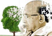 Сегодня, 21 сентября, Международный день распространения информации о болезни Альцгеймера Сегодня, 21 сентября, Международный день распространения информации о болезни Альцгеймера