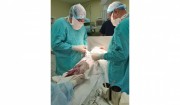 Роды с министром: глава краевого минздрава Евгений Филиппов принял роды у жительницы Сочи