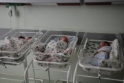 На Кубани благодаря процедуре ЭКО родилась вторая тройня На Кубани благодаря процедуре ЭКО родилась вторая тройня