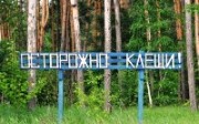 Клещи. Опасности и защита